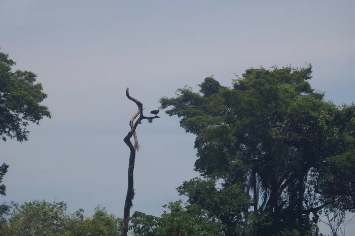 Latin American checkmark - Iguassu Falls - Argentina (12/26/2019) - My, South America, Travels, Tourism, Video, Longpost, Series Latin American Tick 20192020