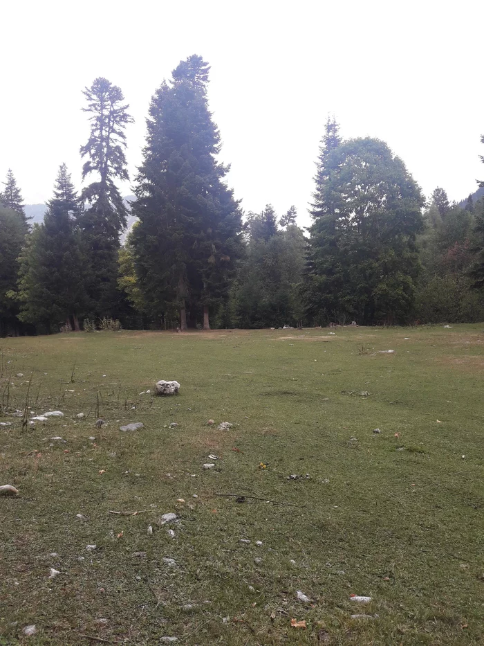 Arkhyz in September - My, Arkhyz, Nature, Caucasus, Dog, Cane Corso, Relaxation, Dog days, Longpost
