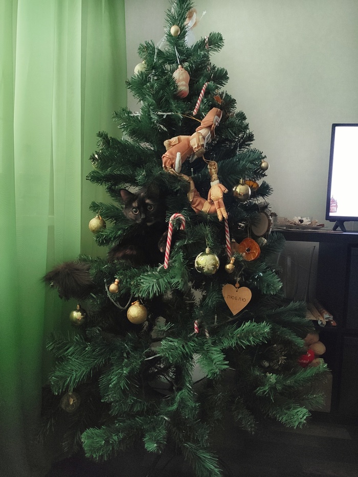 ����� �������� ������� �� ����