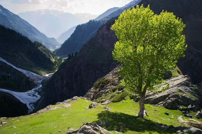 Kashmir. By roads and paths - My, Travels, Kashmir, The mountains, Tourism, Longpost