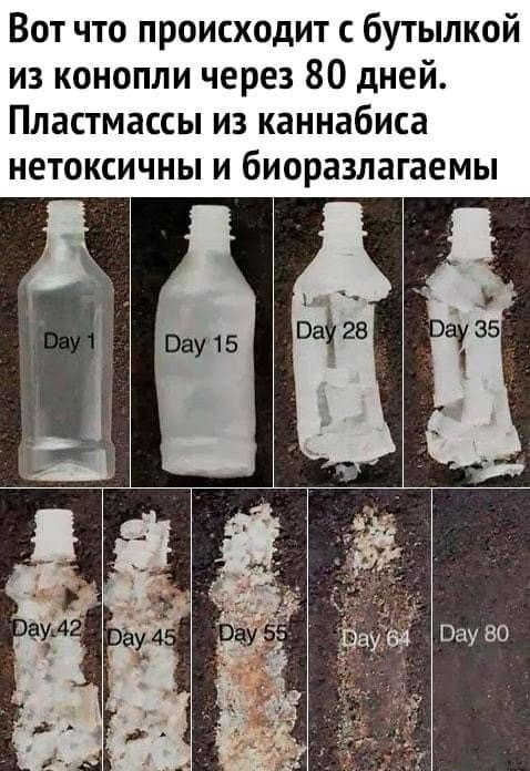 Конопля в бутылке убрать из друзей даркнет на русском