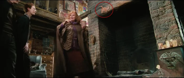 That's why Ginny's jumper is on a cat - Harry Potter, Harry Potter And The Chamber of secrets, Ginny Weasley