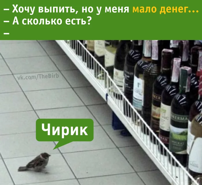 Tweet - My, Humor, Sparrow, Alcohol, Wine, Chirik, Money