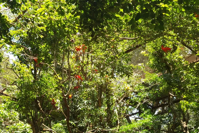 Latin American Checkmark - Foz de Iguassu (12/27/2019) - My, South America, Travels, Tourism, Video, Longpost, Series Latin American Tick 20192020