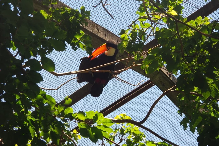 Latin American Checkmark - Foz de Iguassu (12/27/2019) - My, South America, Travels, Tourism, Video, Longpost, Series Latin American Tick 20192020