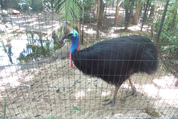 Latin American Checkmark - Foz de Iguassu (12/27/2019) - My, South America, Travels, Tourism, Video, Longpost, Series Latin American Tick 20192020