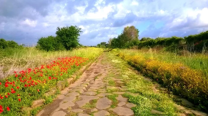 Red poppies along the Appian Way - My, Road, Red, Ancient Rome, Longpost, Poppy, Flowers