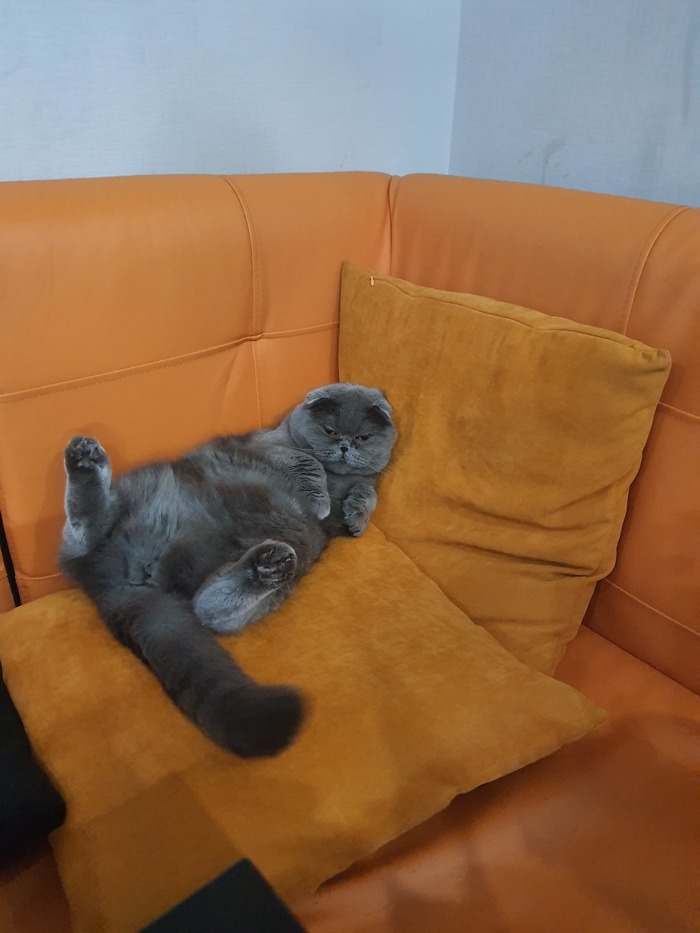 �������� Netflix