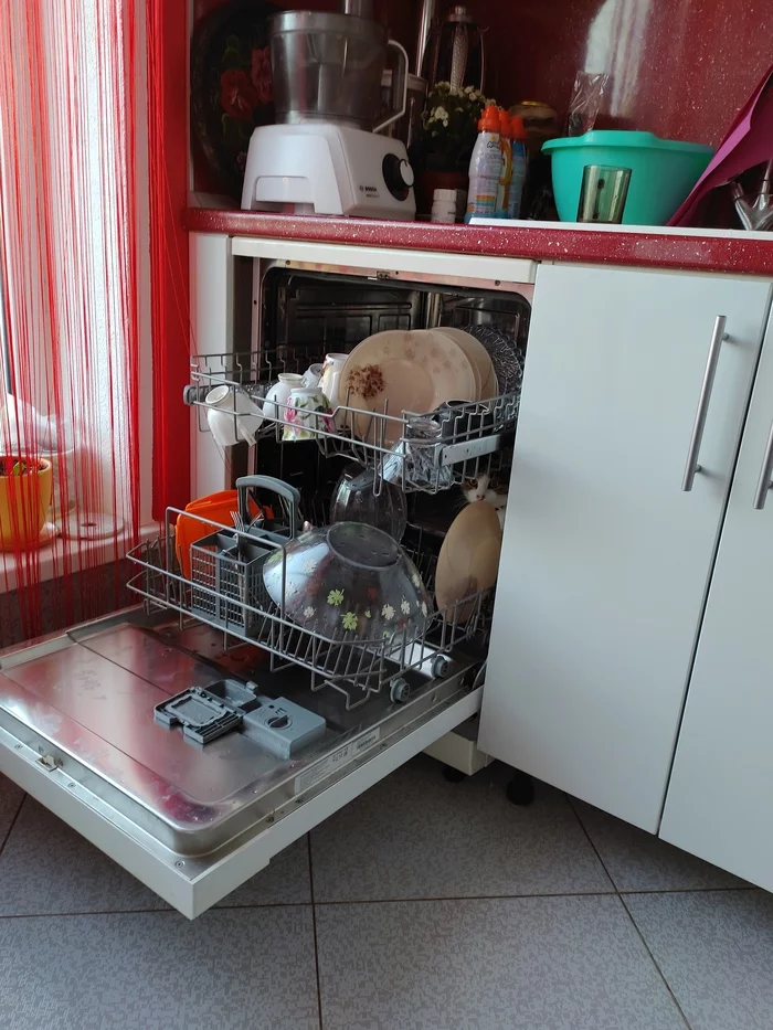 Where is the energetic cat Boris hiding? - Animals, Longpost, cat, Dishwasher