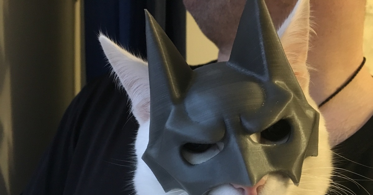 Кто под маской кота в 5. Маска кота. Кот в маске Бэтмена. Крутой кот в маске. Огромная маска кота.