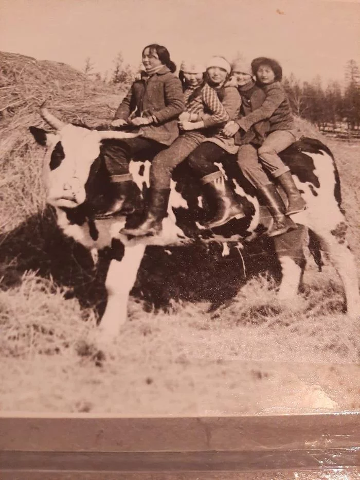 We're going, we're going to a neighboring village to a discotheque - Old photo, Yakutia, Year of the bull, Bull, Haymaking