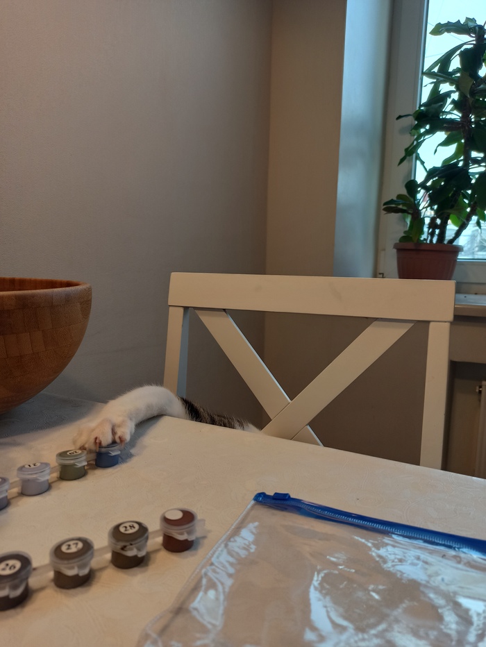 Как я пытаюсь рисовать или рубрика "найди кота"