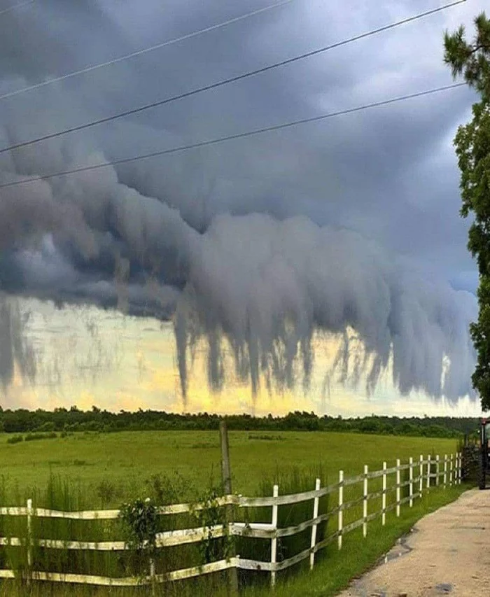 Cloudy skies in South Carolina - Clouds, South Carolina, Unusual, Interesting