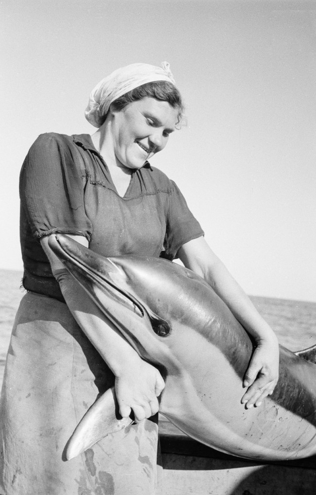 Fishing - the USSR, Tuapse, 1947, Fishing, Fishing, Dolphin, Longpost