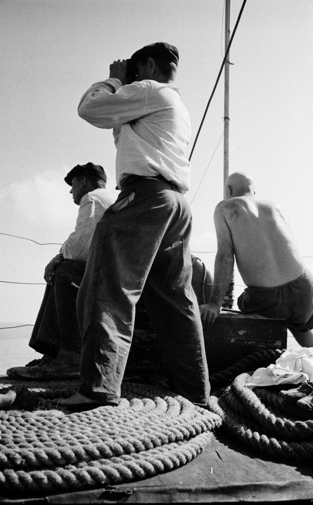 Fishing - the USSR, Tuapse, 1947, Fishing, Fishing, Dolphin, Longpost