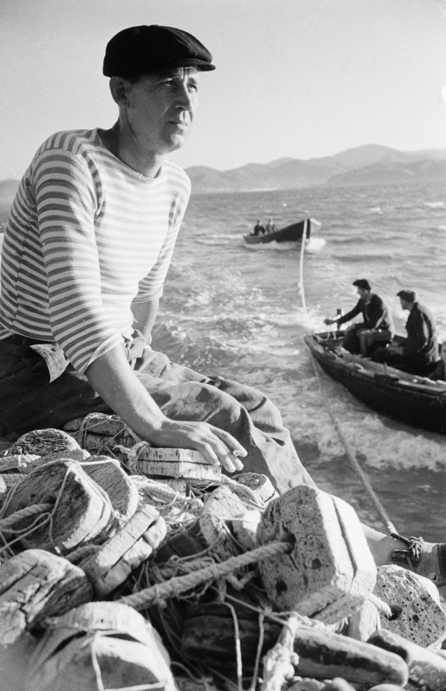 Fishing - the USSR, Tuapse, 1947, Fishing, Fishing, Dolphin, Longpost