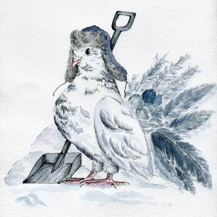 seasonal pigeon - My, Graphics, Painting, Art, Watercolor, Pigeon, Birds, Artist, Drawing, , Animals, Creation, Illustrations, Art, Humor, Hobby, Illustrator