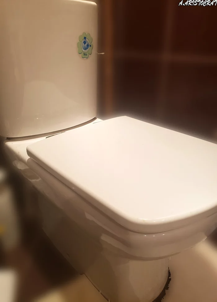 Why do the Chinese prefer hole-in-the-floor toilets? - My, Toilet, China, Traditions, Customs, Chinese, Asians, Asia, Travels, Living abroad, Lodging, Rent, Apartment, Longpost