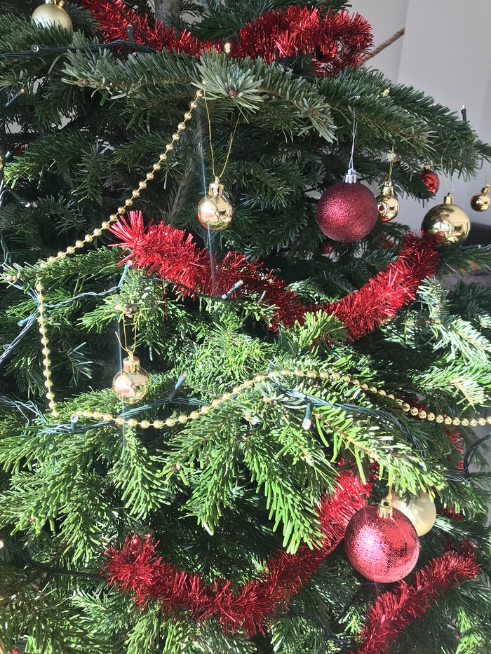 Москва Калининград - верю в новогоднее чудо!