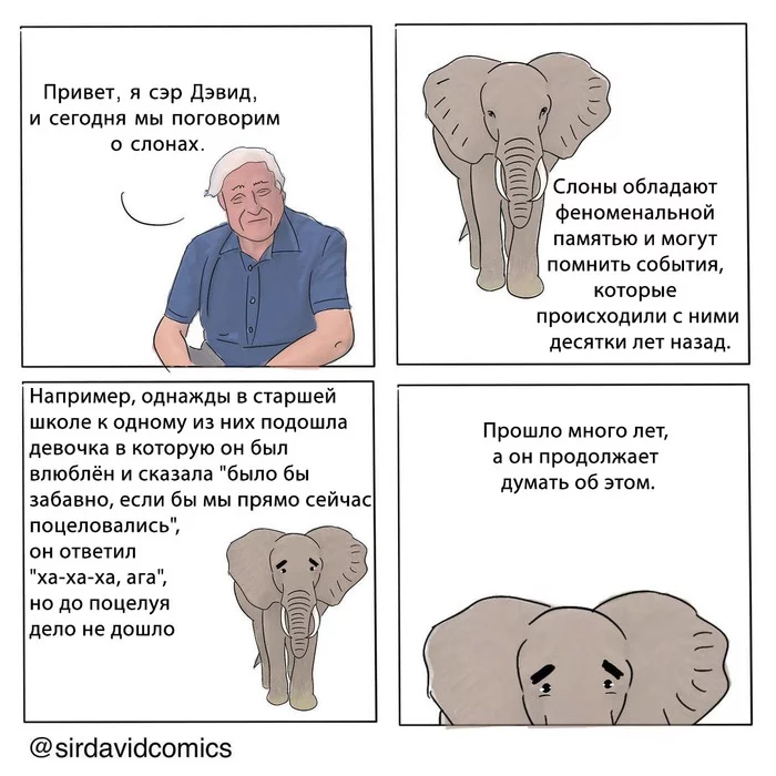 About elephants - David Attenborough, Comics, Elephants