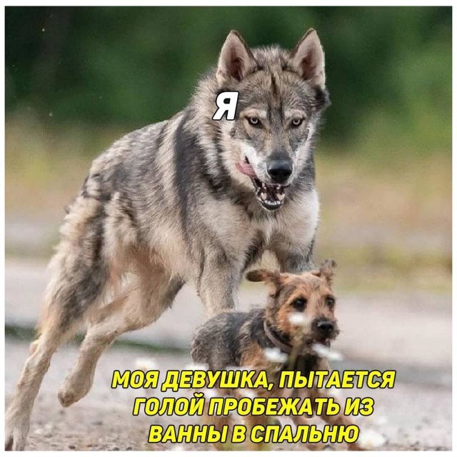Соблазнительно
