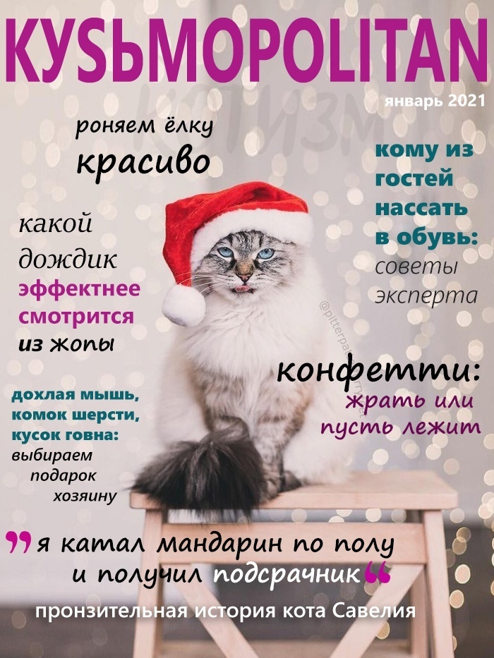 New Year issue of KUSMOPOLITAN - Cosmopolitan, Magazine, cat, New Year, Humor