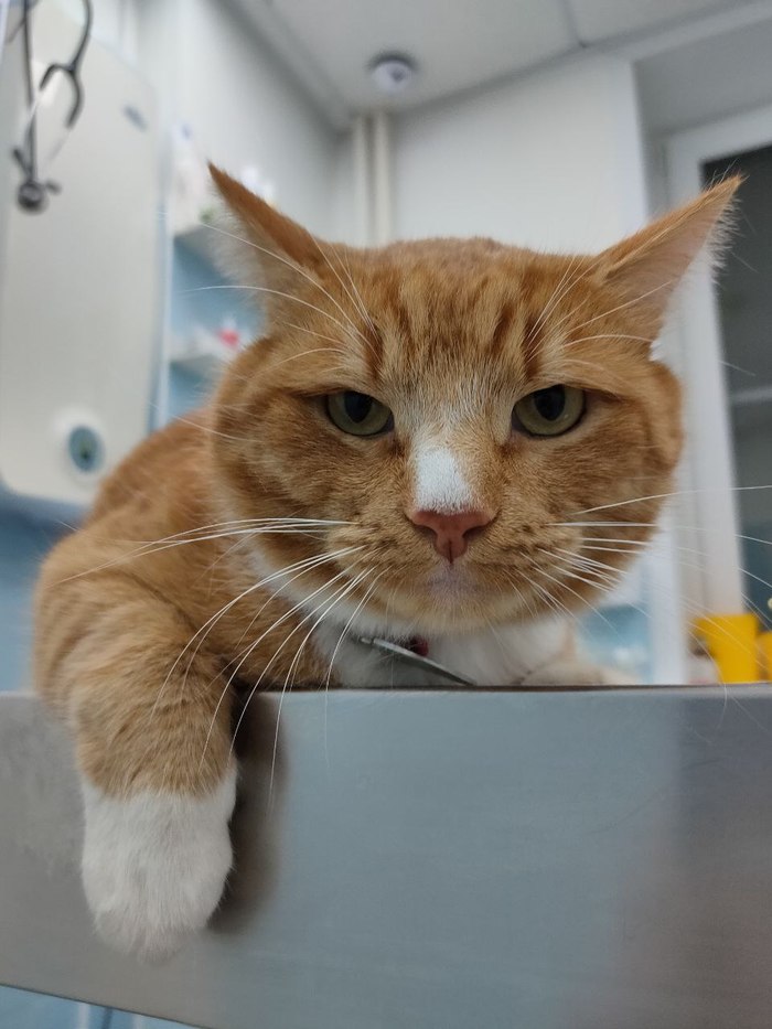 �� �� �����, �� �����!