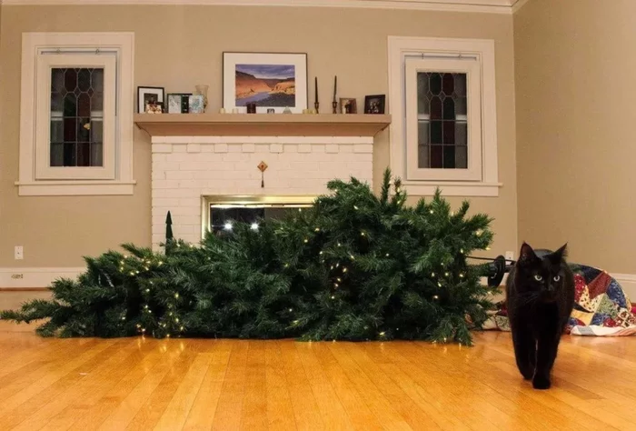 Why do cats like to bring down Christmas trees so much? - cat, Christmas tree, Yandex Zen, Animal book, Longpost