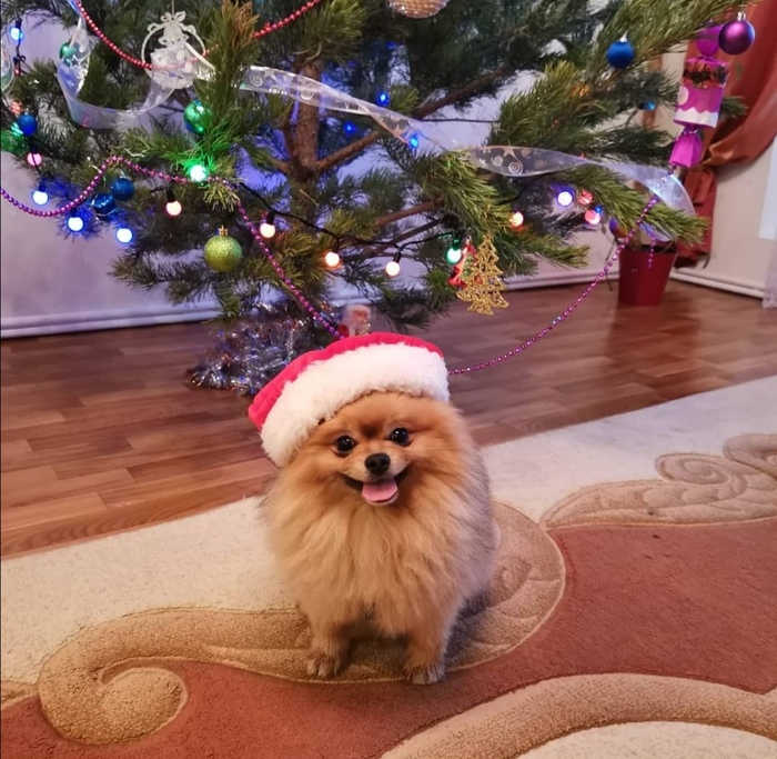 � ��� ����?