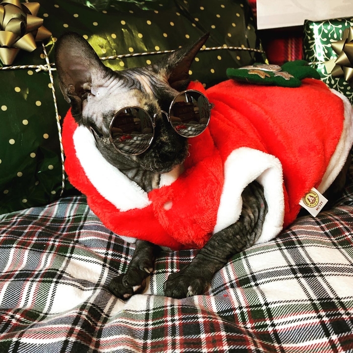 � ����������� ����� �����!