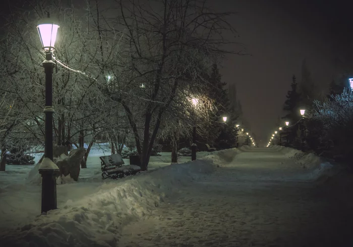 Night, empty alley - My, The photo, Night, Winter, Alley, Benches, Lamp