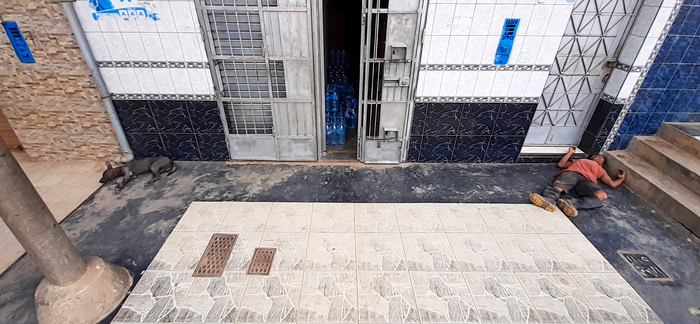 От "хумана" к "анималу" - рукой подать \_()_/ накануне 2021