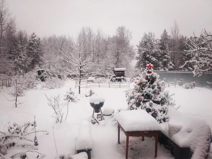 Good morning January 2nd! - My, Подмосковье, Zamkadye, View from the window, Snow, Winter
