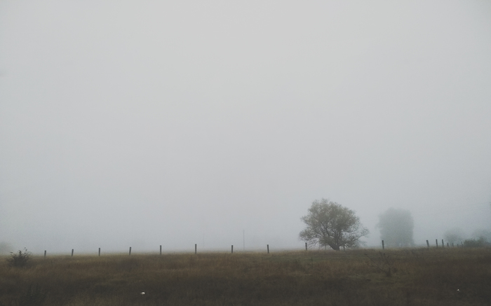 Туман Природа, Туман, Фотография, Длиннопост