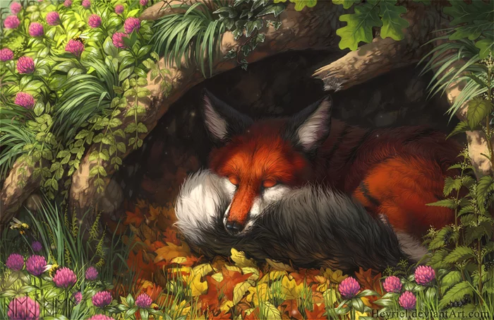 Fox - Fox, Art, Flowers, Heyriel