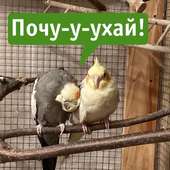 -- , , ,  