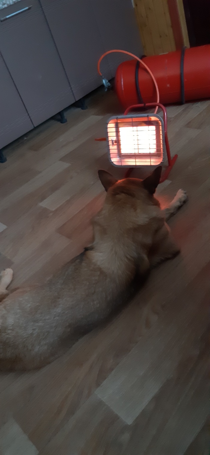 Зима...