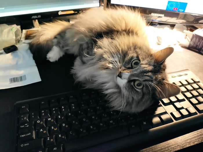 ����� �� ���� ��������� �������� �� �������)))�. ����� �� ������ backspace. � �� ���� ������� ��� ����