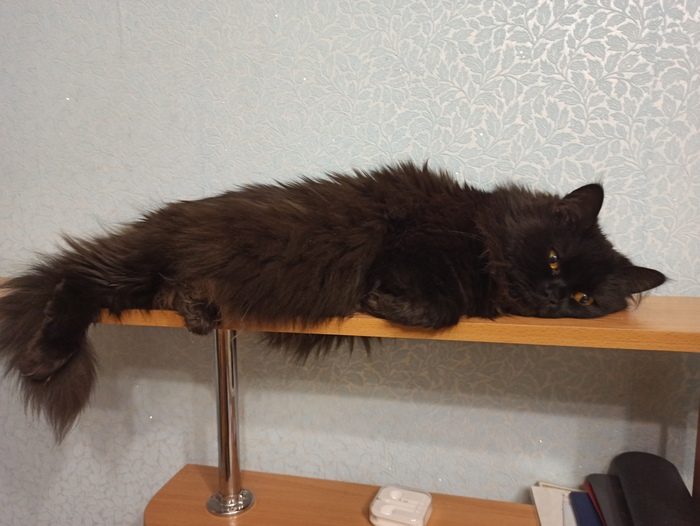 Когда устал отмечать Новый год