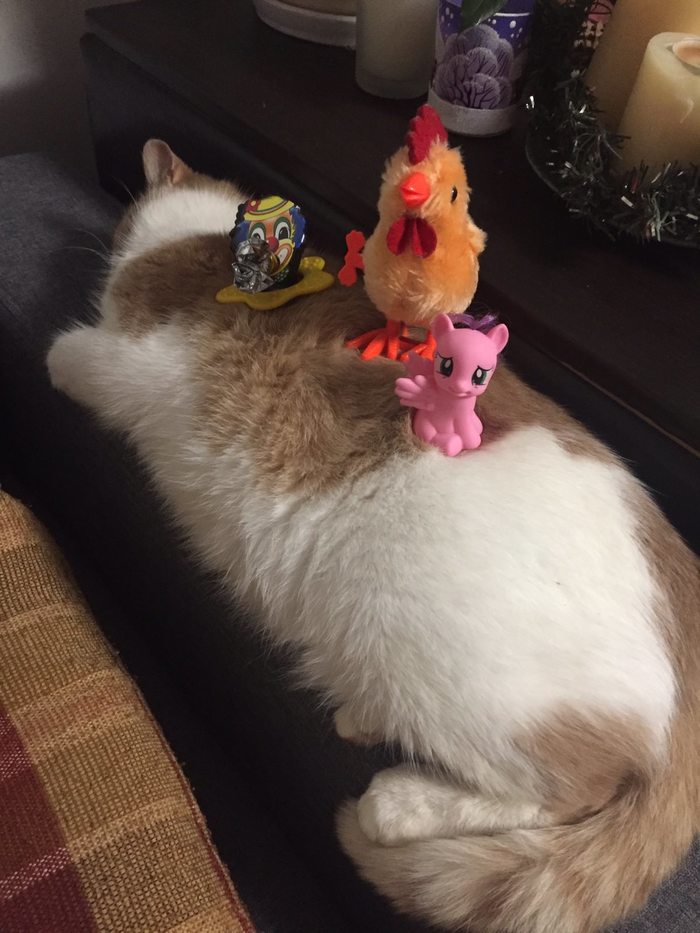 ����� �����))