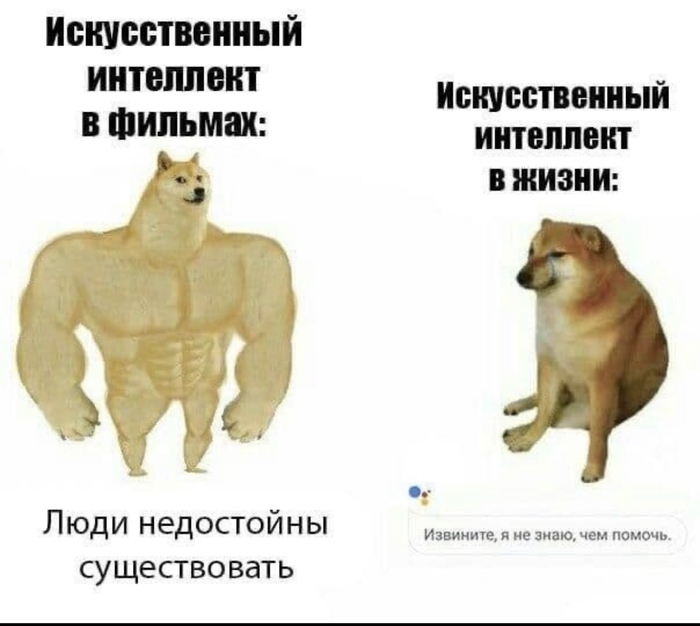 ������������� ���������