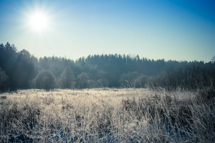 Winter - My, Winter, Nature, The photo, Snow, Morning, Longpost