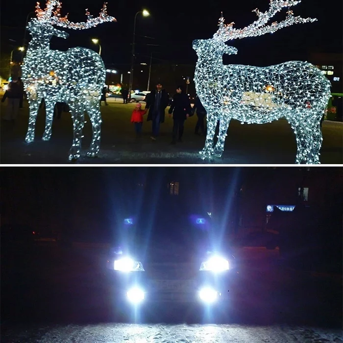 There are two types of glowing deer - In contact with, Deer, Xenon