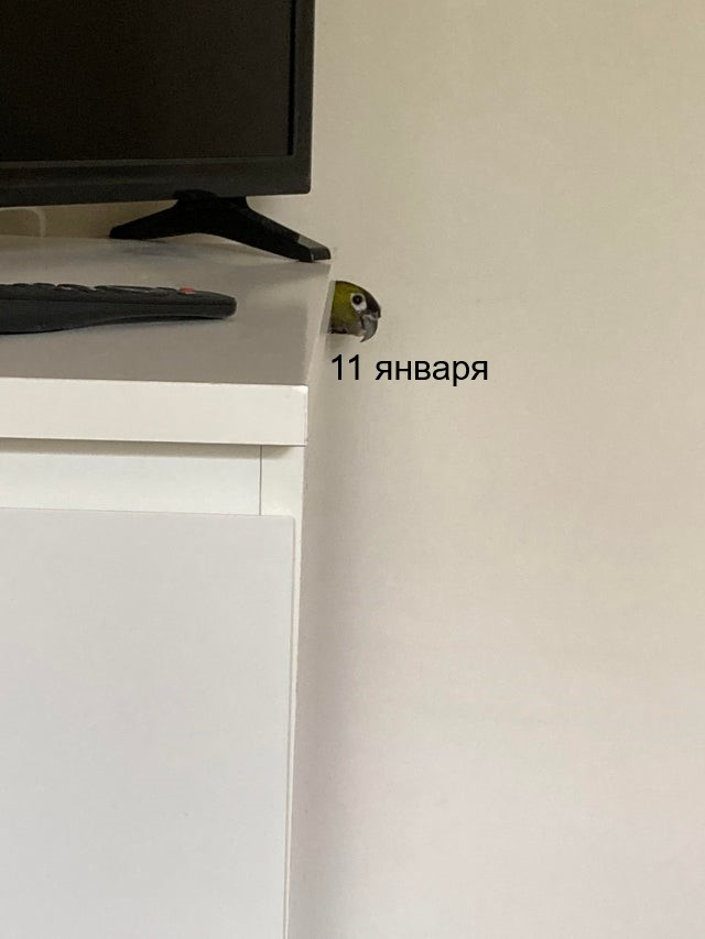   , , 