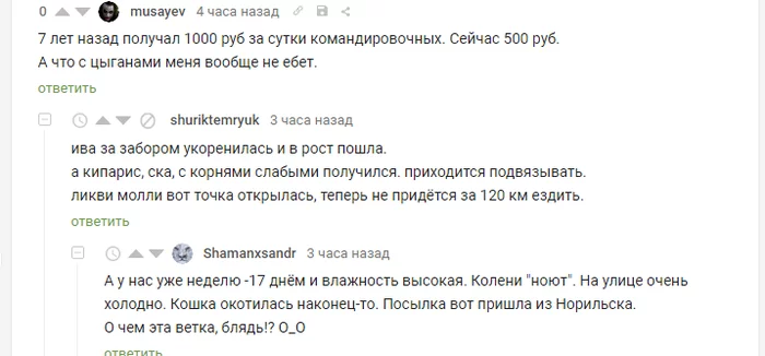 В огороде бузина... - Комментарии на Пикабу, Неуместность, Юмор, Текст, Командировка, Цыгане, Скриншот