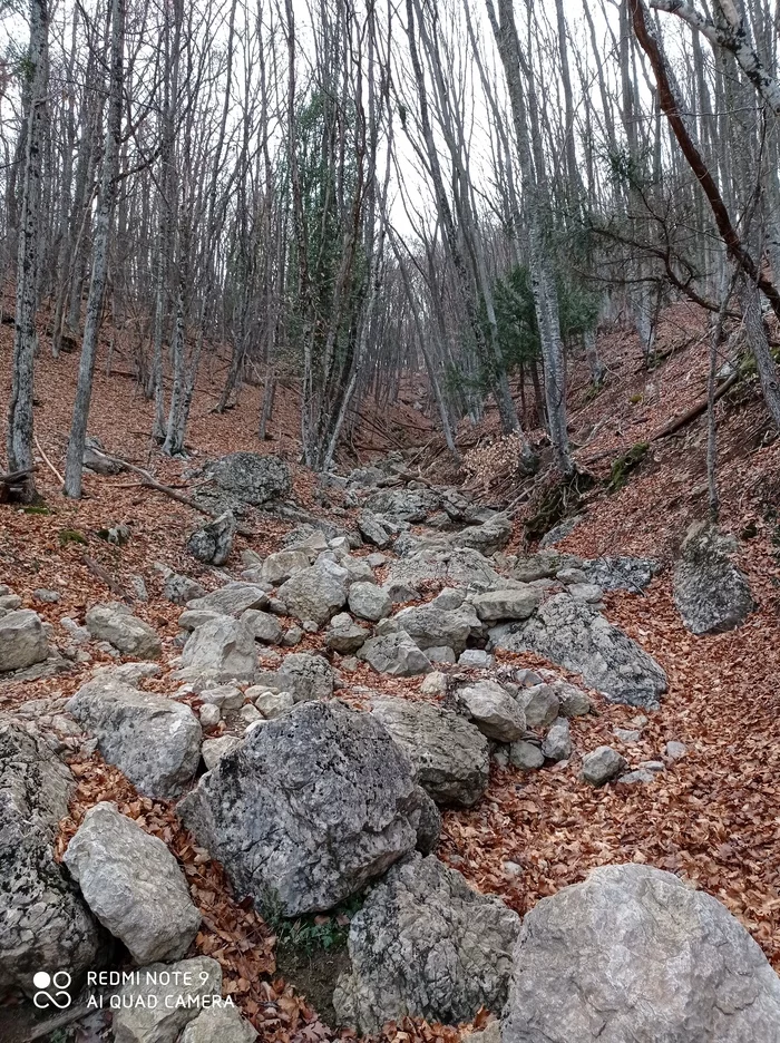 Фотографии из Большого каньона в Крыму - Моё, Крым, Пешие прогулки, Длиннопост