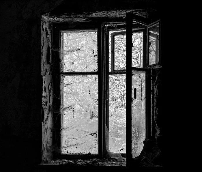 Window - My, Black and white photo, The photo