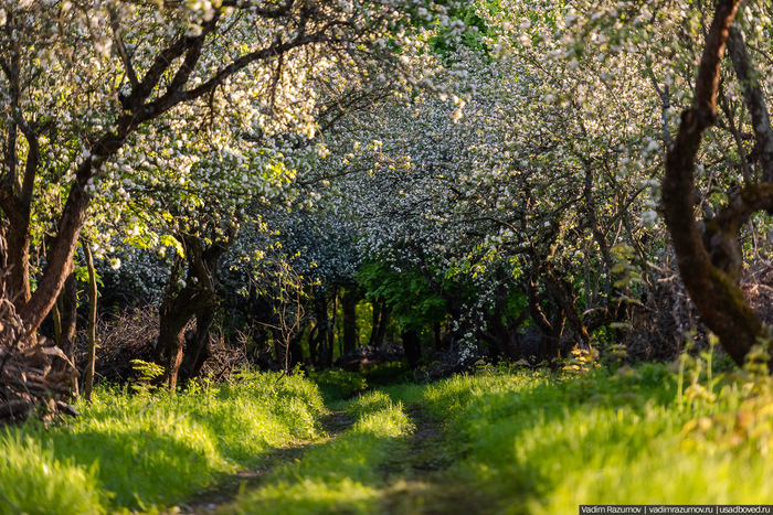 ������ ���� ����� ������� 3/30 (� ����)