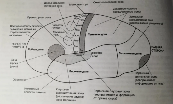 Как сделать заедающую песню. Смотреть фото Как сделать заедающую песню. Смотреть картинку Как сделать заедающую песню. Картинка про Как сделать заедающую песню. Фото Как сделать заедающую песню