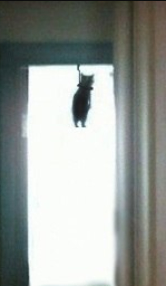 Чёрный юмор